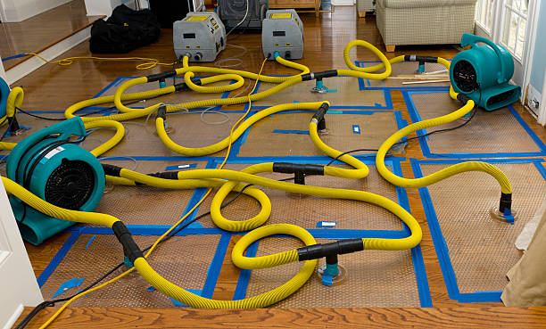 Professional Basement Flood Cleanup technician working in Saint Jo, TX